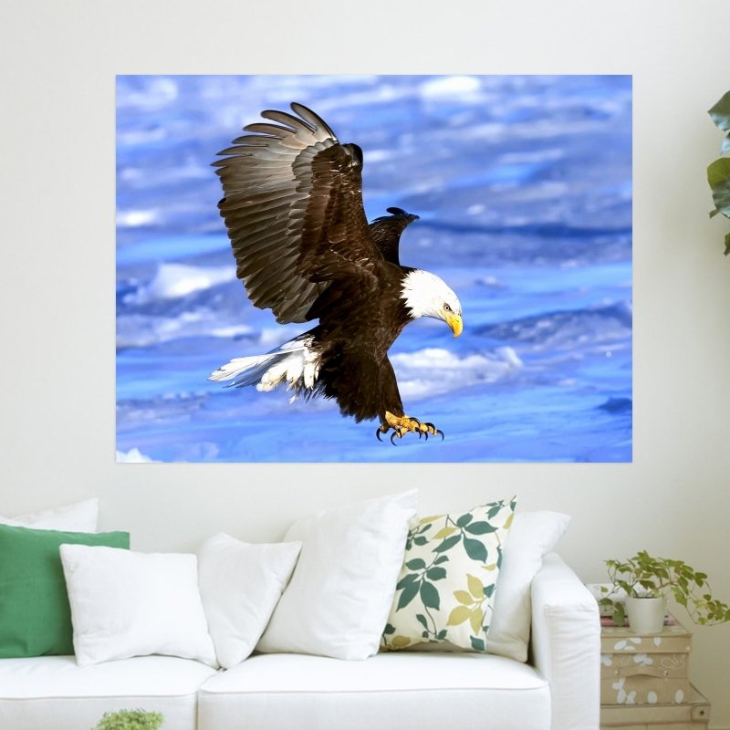 Bald Eagle Art Poster Print 24x18 inch