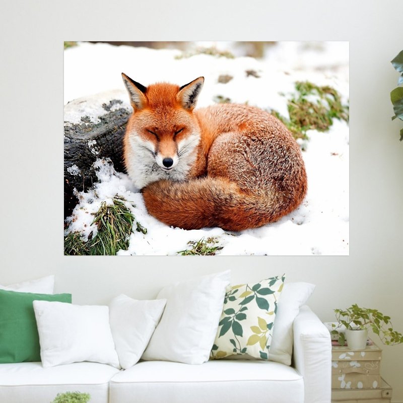 Fox 10  Art Poster Print  24x18 inch
