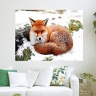 Fox 10  Art Poster Print  24x18 inch