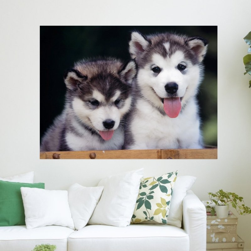 Siberian Husky Puppies  Art Poster Print  24x18 inch