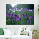 Rainy Day Purple Fantasy  Art Poster Print  24x18 inch