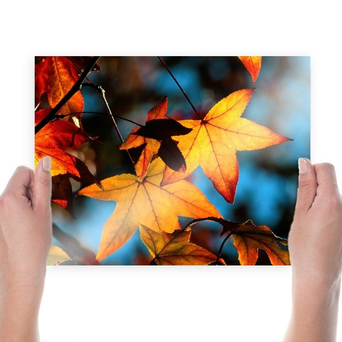 Already Autumn  Art Poster Print  24x18 inch
