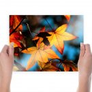 Already Autumn  Art Poster Print  24x18 inch