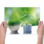 Plants Hd  Art Poster Print  24x18 inch