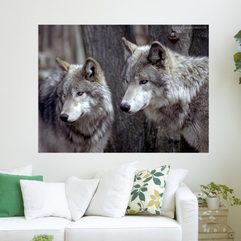 Wolf Pictures S Art Poster Print  24x18 inch