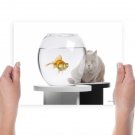 Cat And Fish  Art Poster Print  24x18 inch