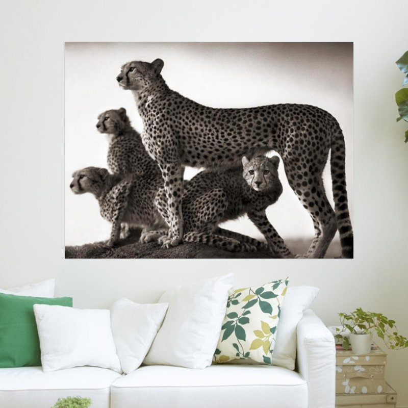 Cheetah Domination  Art Poster Print  24x18 inch