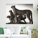 Cheetah Domination  Art Poster Print  24x18 inch