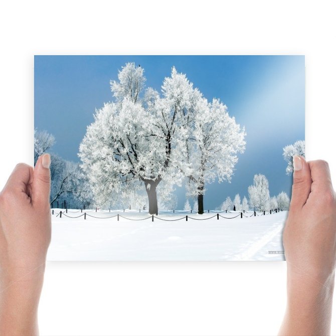 White Landscapes  Art Poster Print  24x18 inch