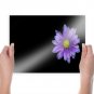 Blue Flower Art Poster Print 24x18 inch
