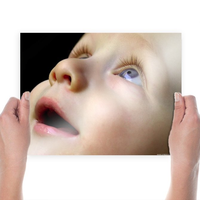 Cute Baby Looking  Art Poster Print  24x18 inch