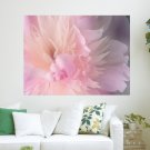 Pink Flower  Art Poster Print  24x18 inch