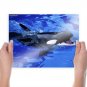 Orca 8  Art Poster Print  24x18 inch