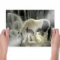 A Dream  Art Poster Print  24x18 inch