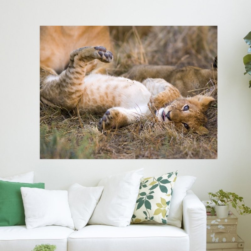 African Lion Masai Mara National Reserve  Art Poster Print  24x18 inch