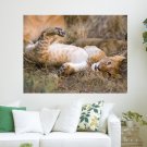 African Lion Masai Mara National Reserve  Art Poster Print  24x18 inch