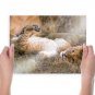 African Lion Masai Mara National Reserve Art Poster Print 24x18 inch