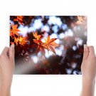 Beautiful Leaves  Art Poster Print  24x18 inch