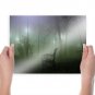 Spooky Park  Art Poster Print  24x18 inch