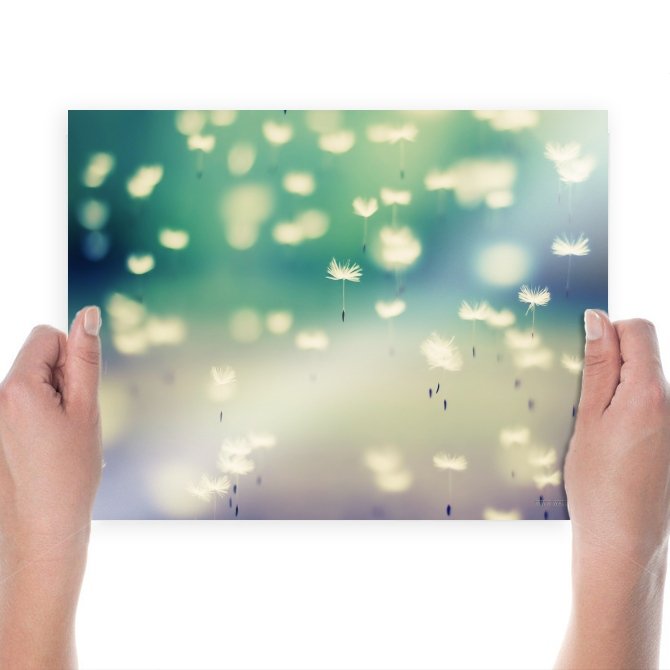 Flying Flower  Art Poster Print  24x18 inch