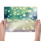 Flying Flower  Art Poster Print  24x18 inch