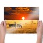 African Savannah  Art Poster Print  24x18 inch