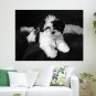 Shih Tzu Puppy  Art Poster Print  24x18 inch