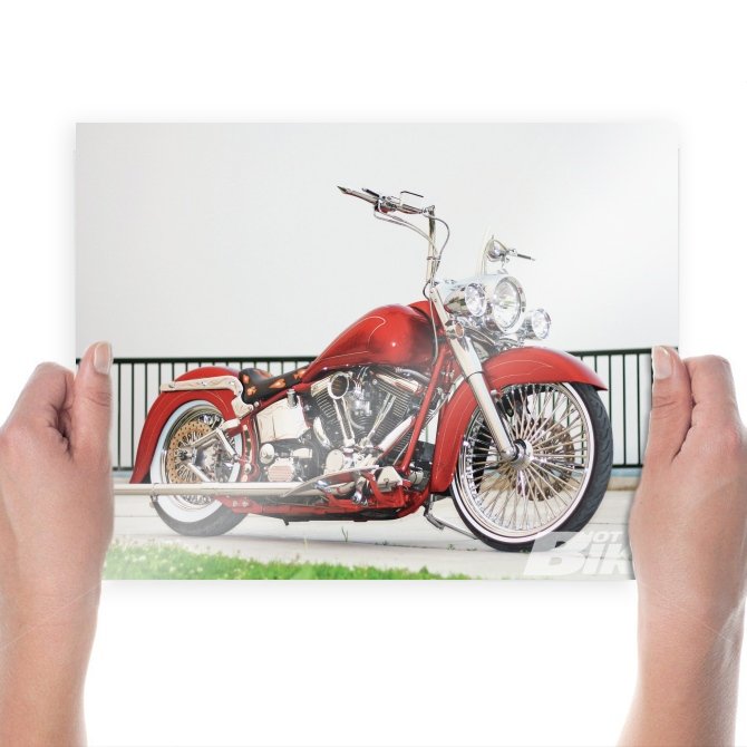 La Vida Loca  Art Poster Print  24x18 inch