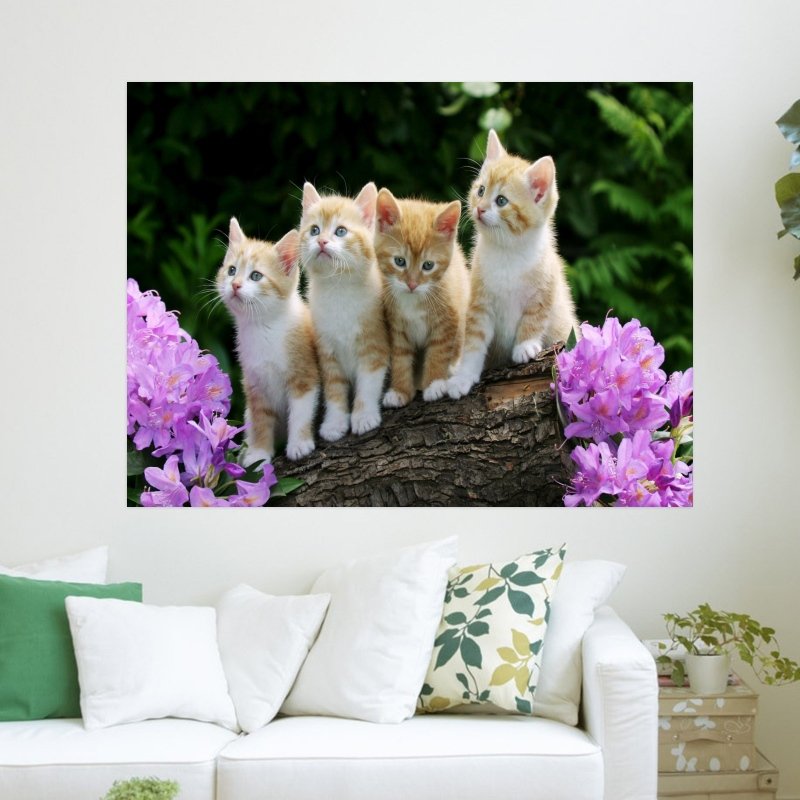 Curious Kittens  Art Poster Print  24x18 inch
