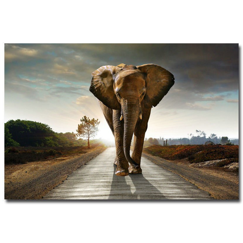 African Elephant Walking On The Road Landscape Art Poster 32x24