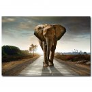 African Elephant Walking On The Road Landscape Art Poster 32x24