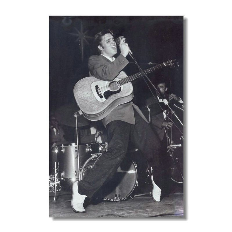 Elvis Presley The Hillbilly Cat Classic Music Star Poster 32x24
