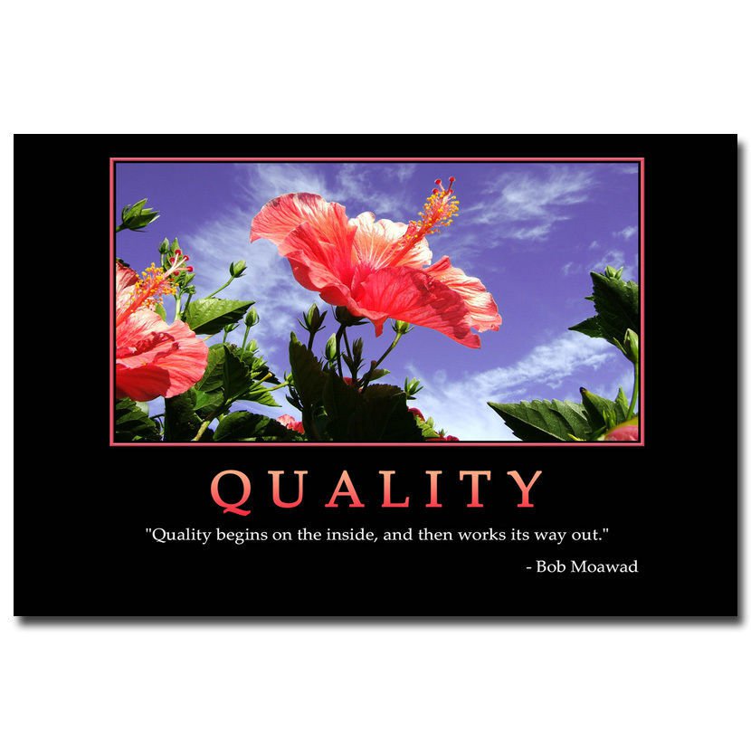 QUALITY Motivational Quotes Art Poster 32x24