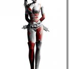 Batman Arkham City Origin Game Art Poster Harleen Quinzel 32x24