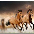 Horse Running Art Poster Animals Lanscape Pictures 32x24