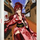 Fairy Tail ErzaScarlet Anime Poster Wall Home Decor 32x24