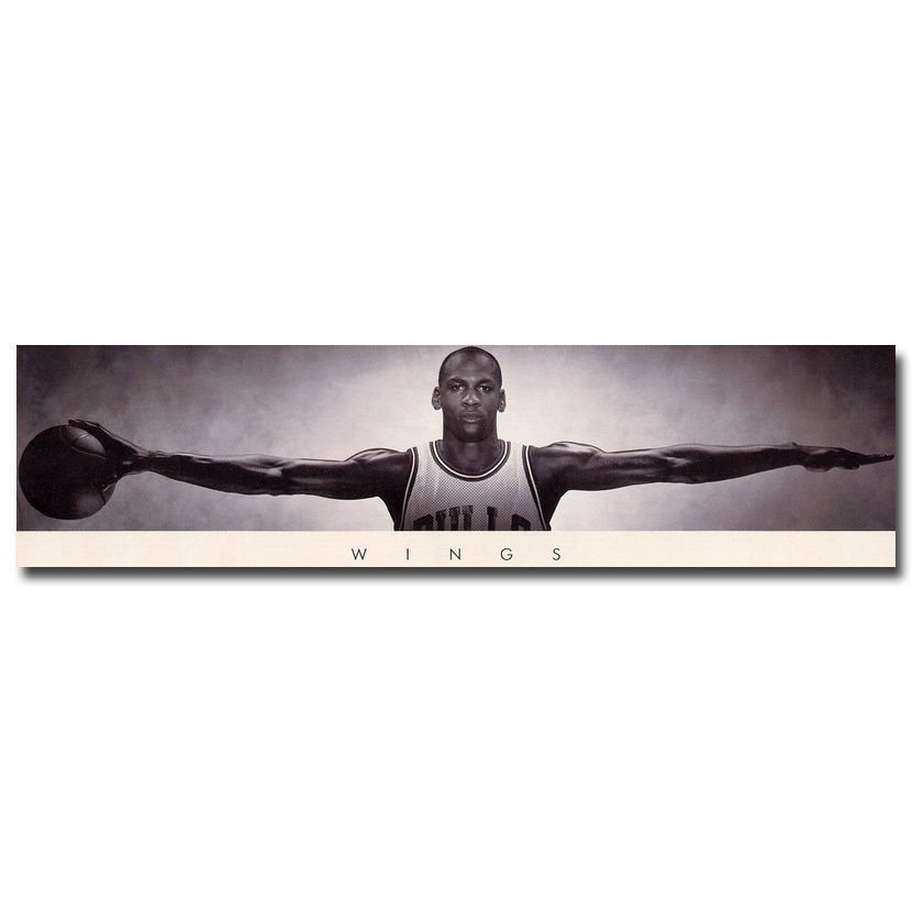 Michael Jordan Wings With Basketball Poster 32x24