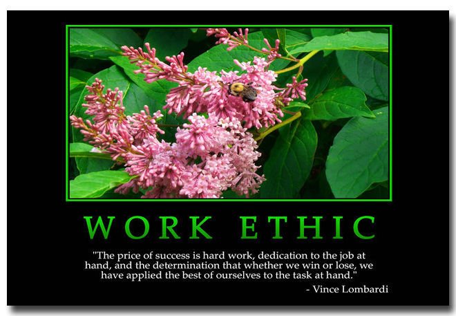 WORK ETHIC Motivational Quotes Art Poster 32x24