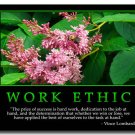 WORK ETHIC Motivational Quotes Art Poster 32x24