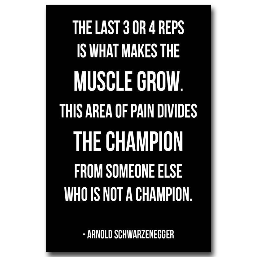 Arnold Schwarzenegger Motivational Quote Poster 32x24
