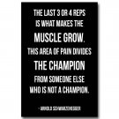 Arnold Schwarzenegger Motivational Quote Poster 32x24