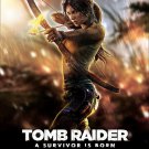 Tomb Raider Lara Croft Game Art Wall Poster Tourniquet Render 32x24