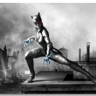 Catwoman Batman Arkham City Origin Game Art Poster 32x24