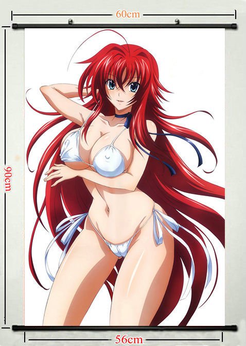 High School DxD Rias Gremory Sexy Anime Girls Poster Wall 32x24