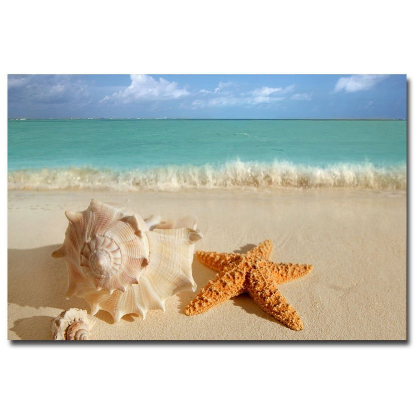 Sea Beach Nature Poster Wall Pictures For Home Asteroidea Shell 32x24
