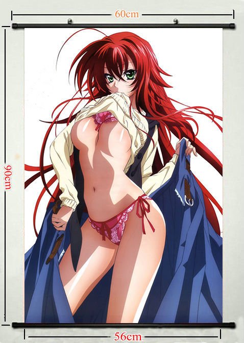 High School DxD Rias Gremory Sexy Anime Girls Poster Wall 32x24