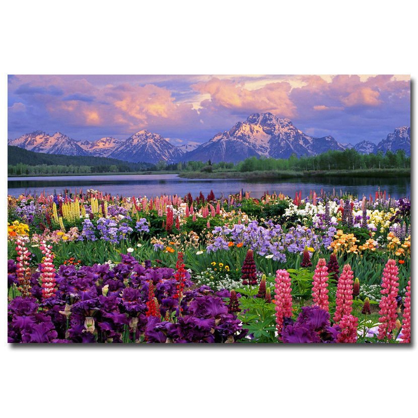 Grand Teton National Park Nature Poster Spring Flowers And Mountains 32x24