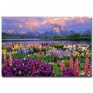 Grand Teton National Park Nature Poster Spring Flowers And Mountains 32x24