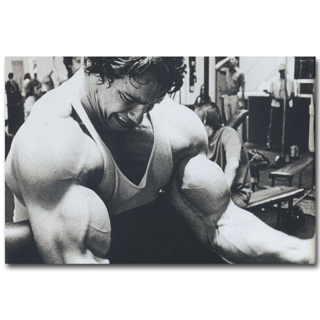 Arnold Schwarzenegger Bodybuilder Mr Olympic Poster 32x24