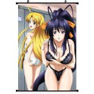 Highschool DXD Rias Sex Anime Girl Wall Poster 32x24